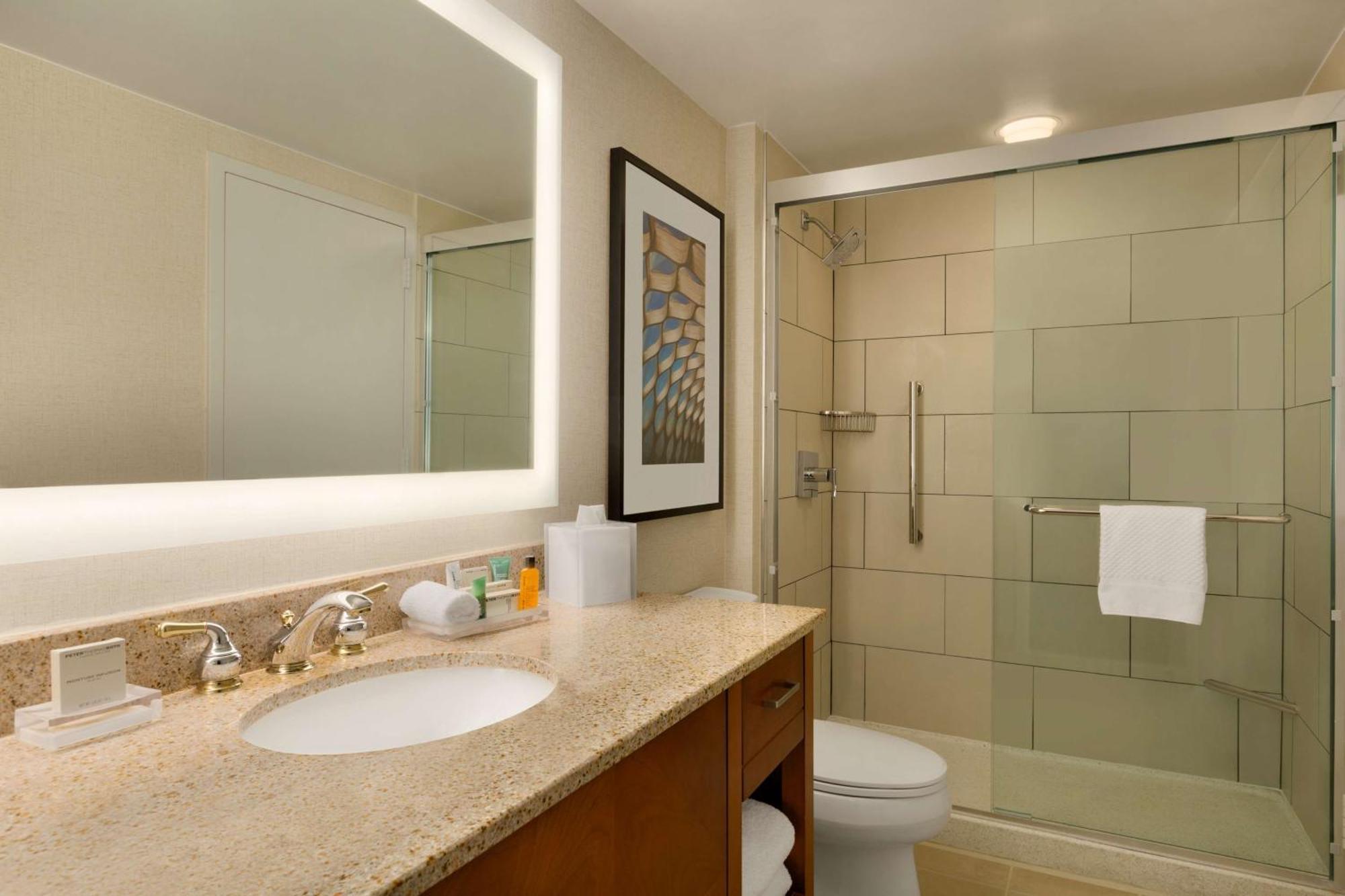 Hotel Hilton Magnificent Mile Chicago